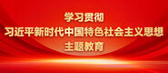 操骚逼免费观看学习贯彻习近平新时代中国特色社会主义思想主题教育_fororder_ad-371X160(2)